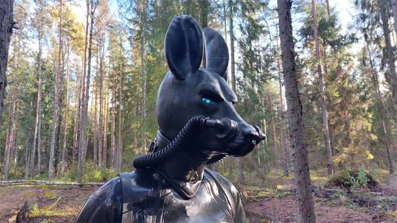 Rubber Jackal